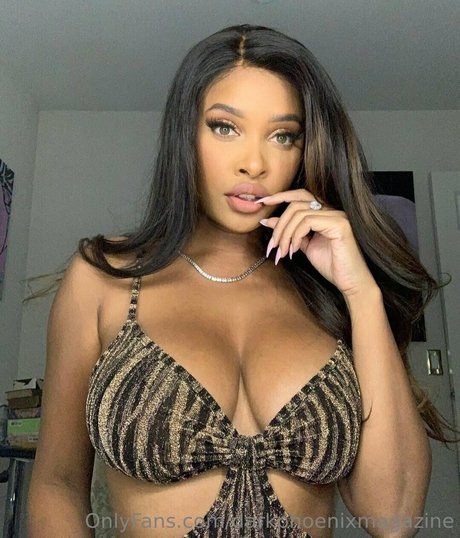 darkphoenixvip meilleure star du porno photos