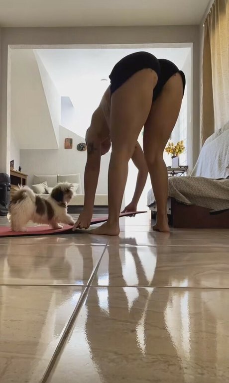 Duda Lisboa haut de star du porno image