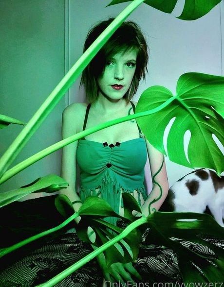 vvowzerz star exclusive archive