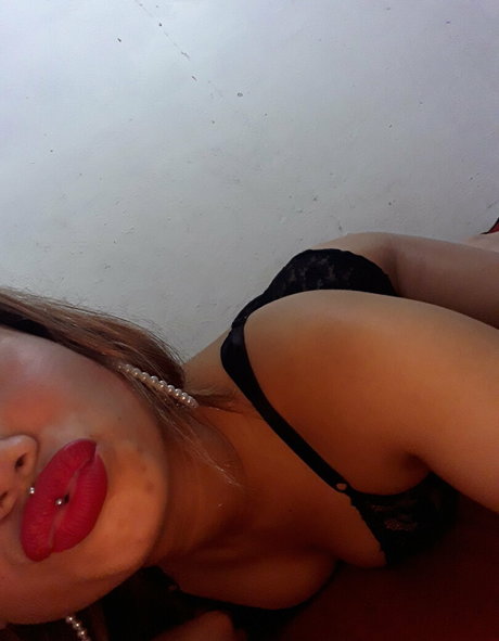 canelam actrice adulte collection