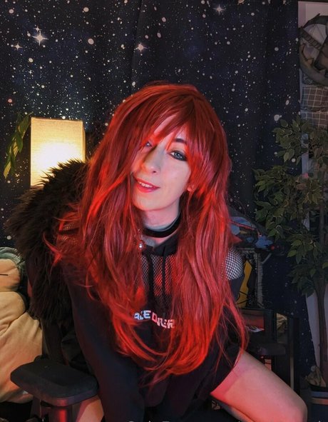 pitykitty pk étoile sympa galeries