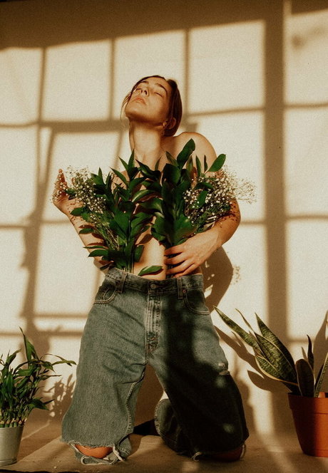 Lexiepeterss étoile hd photos