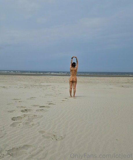 lotjeof étoile magnifique galeries