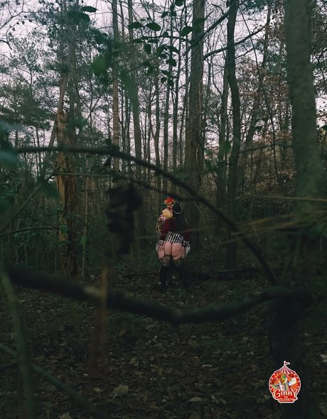 Gibbytheclown joli modèle collection