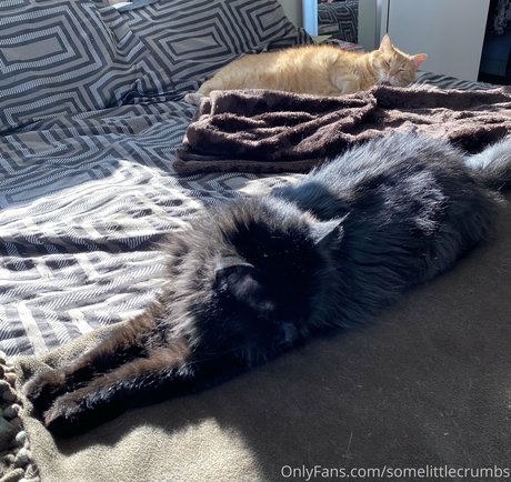 épais onlyfans chaud meilleur photo