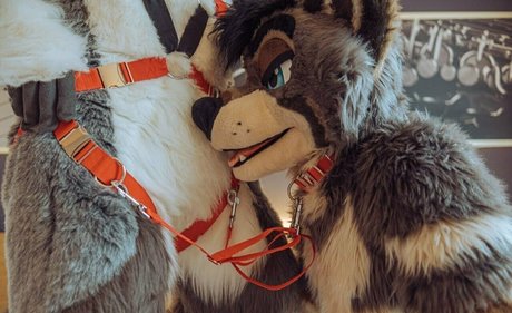 after neigh meilleur modèle image