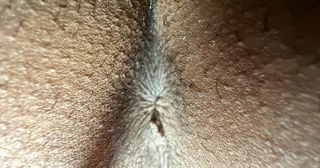 solecirilla actrice artistique collection