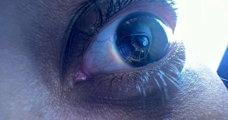 solecirilla étoile gratuite images