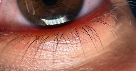 solecirilla modèle parfait image