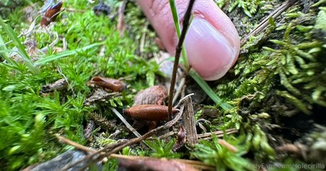 princesse en bikini onlyfans parfait meilleur archive