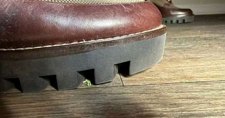 fans de cul latin uniquement pornographique gratuit img