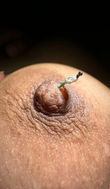 solecirilla étoile exclusive img