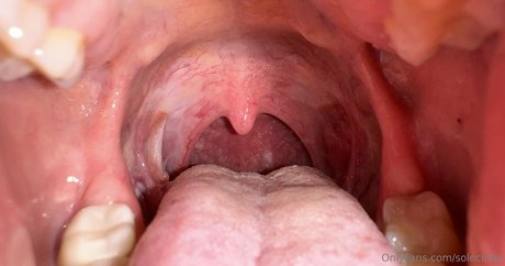 solecirilla art modèle galerie