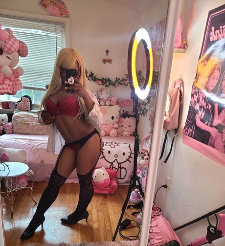 Lilrawrs beau modèle collection