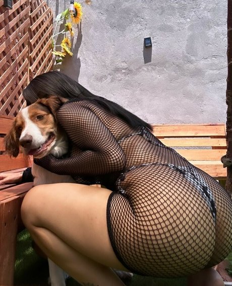 albapar meilleure star du porno collection