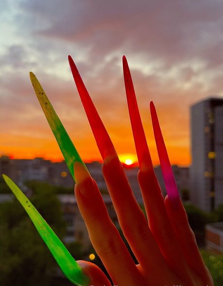 allison jae star du porno belle collection