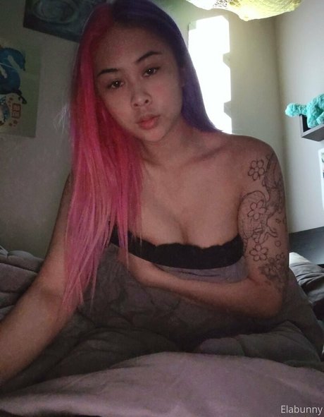 elabunny star du porno sympa collection