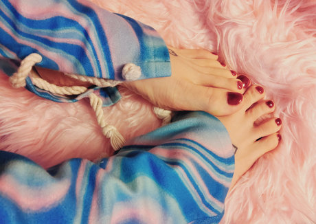 modestlytoasted free top star collection