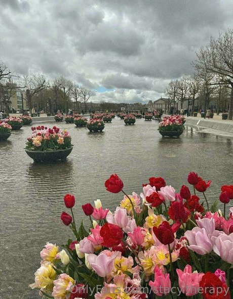 fellation transexuelle onlyfans sexe de haute qualité photo