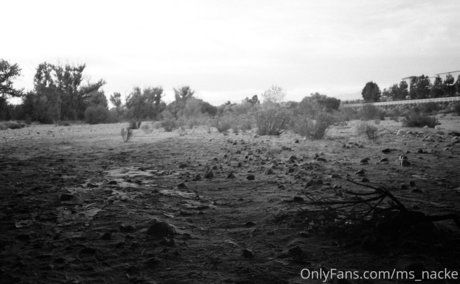 ms nacke star du porno de haute qualité des photos