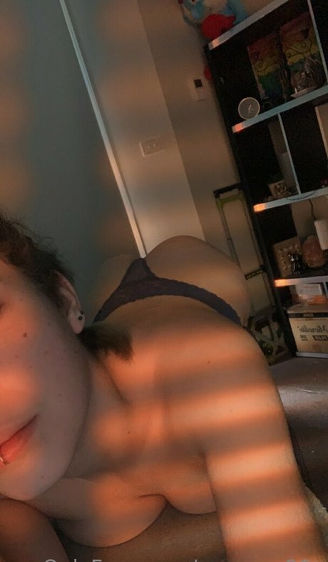 summer96o étoile gratuite photo