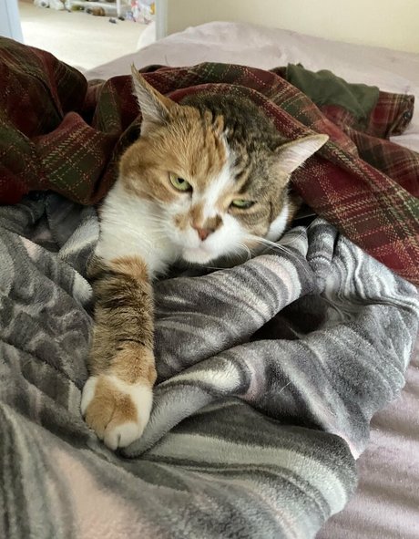 grandes aréoles onlyfans adulte chaud des photos