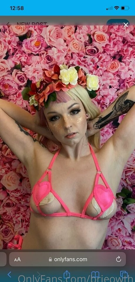 brieowth star exclusive archive