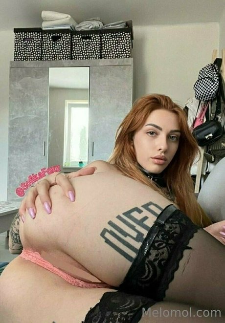 melo4free étoile hd des photos