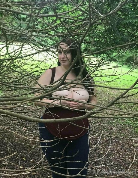 giafiore étoile chaude galeries