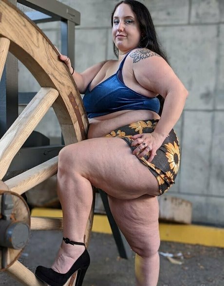 giafiore étoile chaude photo