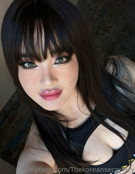 thekoreansecretary étoile chaude img