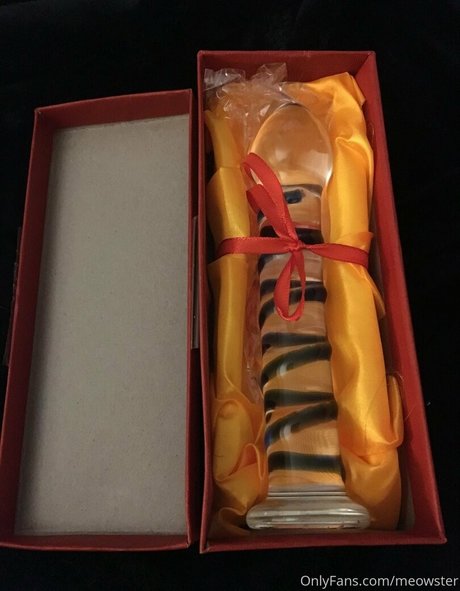 meowster top star photo