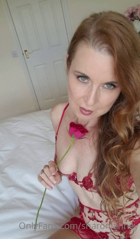 Sharon Janney sexe star images