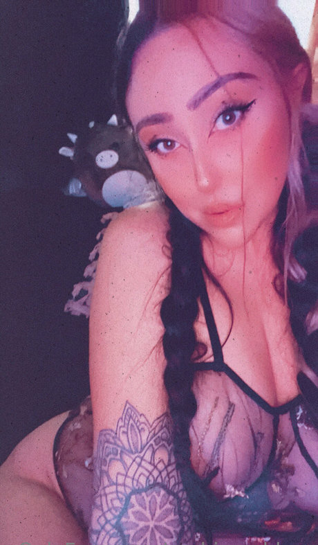 chaton potelé uniquementfans haut images