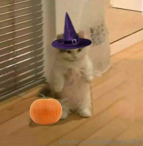 smoll n sweet 2k2 haut étoile img