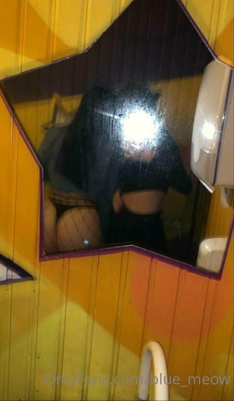 blue meow top star image