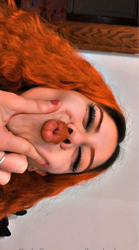 kashabaee étoile gratuite collection