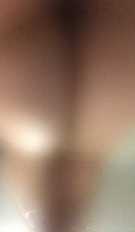 kashabaee sexe de star du porno images