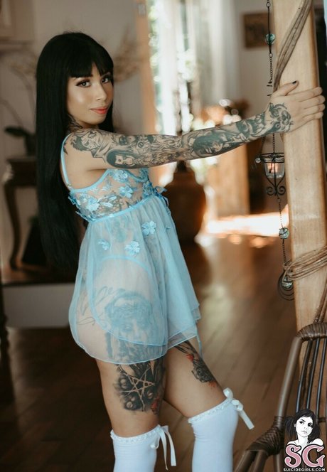 fans alternatifs parfait exclusif img