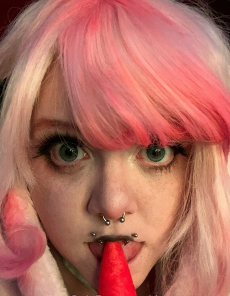 The bunny bee haut étoile galeries