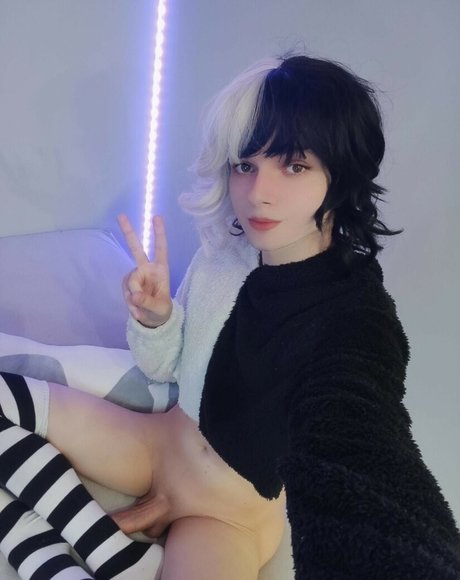 MaxHamster étoile hd img