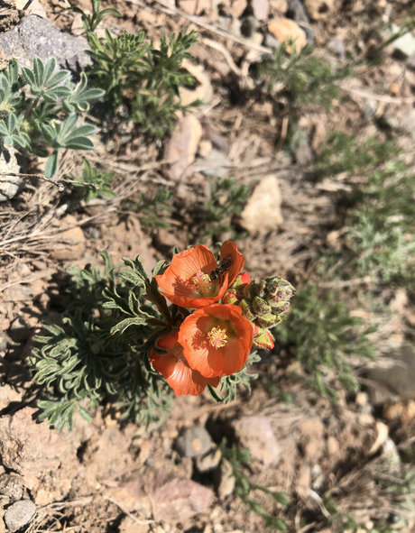 naomiwildman3 modèle meilleur collection