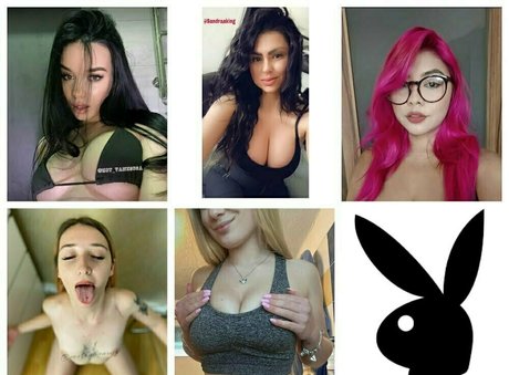 dennyreed star du porno gratuit collection