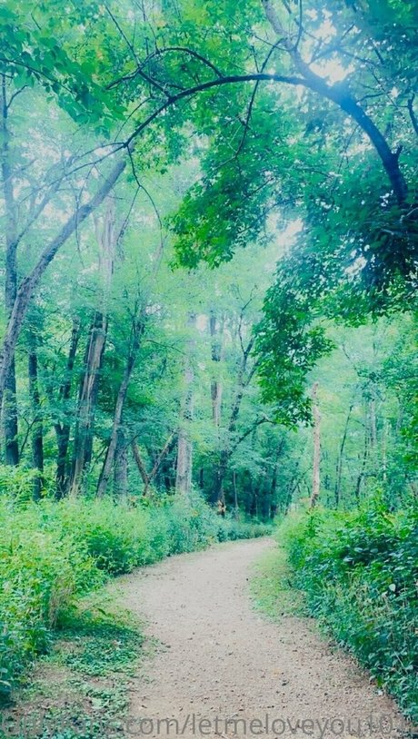 lovegiantess modèle chaud archive