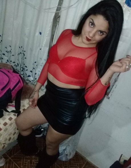 viperlatina étoile adulte image