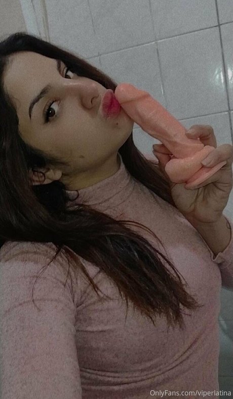 viperlatina Fotoaufnahmen