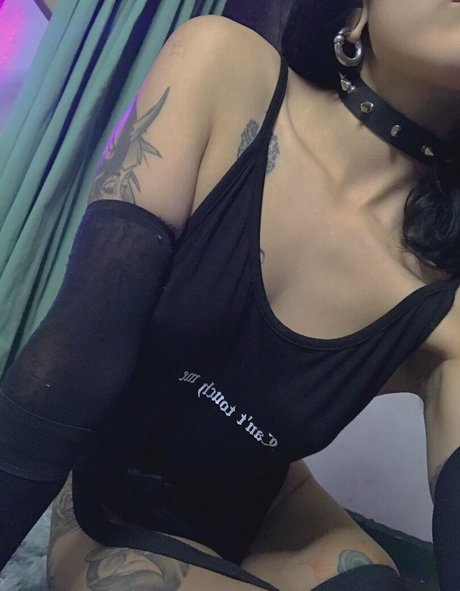 blvckchxrry meilleure star du porno images