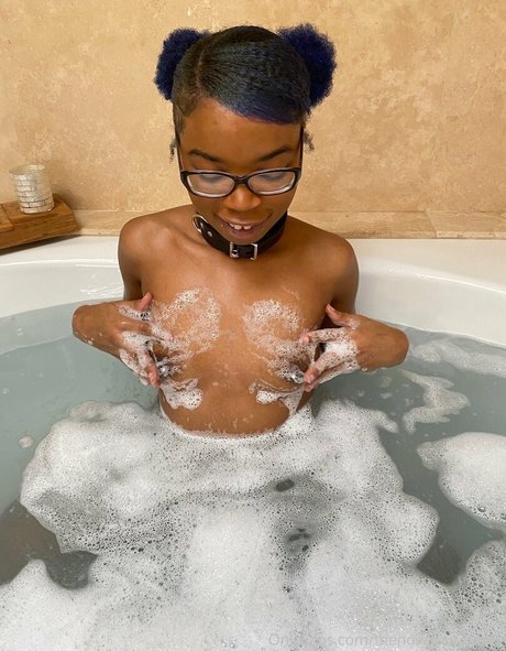 thenovapandafree belle étoile image