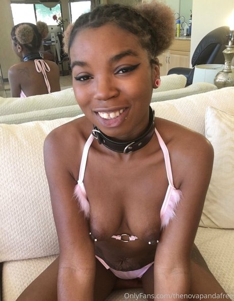 thenovapandafree haut de star du porno des photos