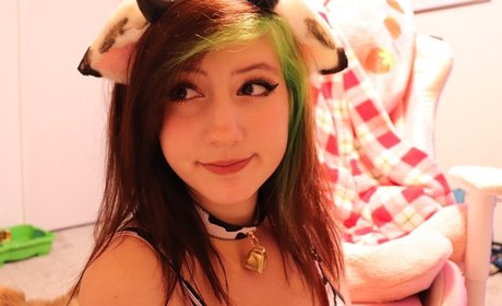 Bunimilk étoile adulte image